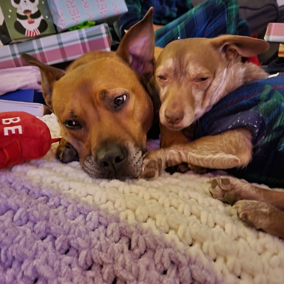 A little bit of everything - Picture 2 of 4